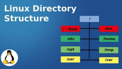 کاربرد دایرکتوری bin در لينوکس