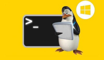 دستورات کاربردي man ،help ،info