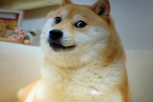 DOGE Price Prediction: Dogecoin might be in for lower lows