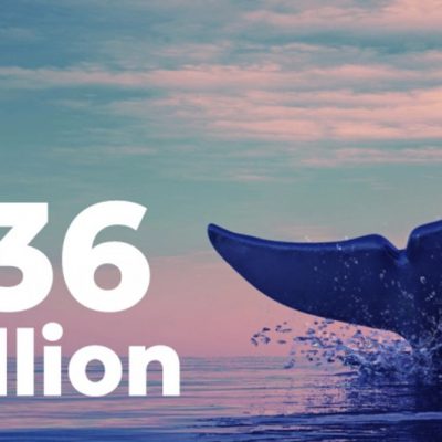 یک نهنگ جدید 36 میلیون دلار شیبا خرید