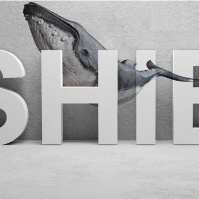 نهنگ های SHIB هر کدام 20 میلیارد توکن در طول ریزش ها خریداری کردند
