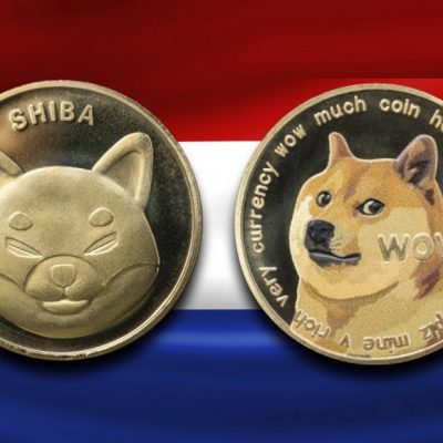 میلیونر هلندی نسبت به Shiba Inu و Dogecoin خوش بین است