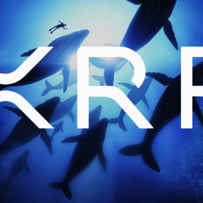 نهنگ‌های XRP توکن‌های 24 میلیون دلاری خود را از صرافی‌ها در میان رالی 6 درصد جابه‌جا کردند