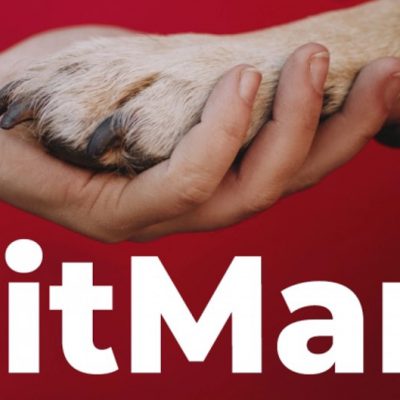 انجمن شیبا اینو خبر از کمک به صرافی BitMart داد