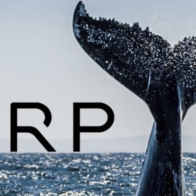 جابجایی 100 میلیون دلار XRP توسط نهنگ ها 