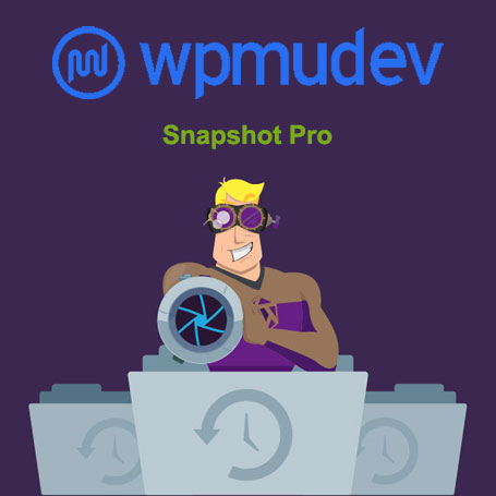 افزونه WPMU DEV Snapshot Pro