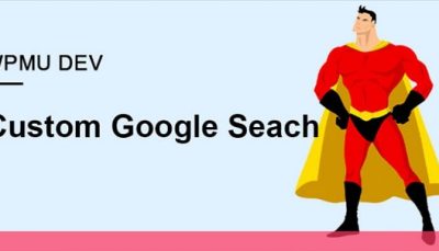 افزونه جستجوی سفارشی گوگل | WPMUDEV Google Custom Search