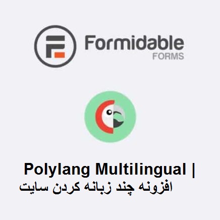 افزونه Formidable Forms – Polylang Multilingual | افزونه چند زبانه کردن سایت