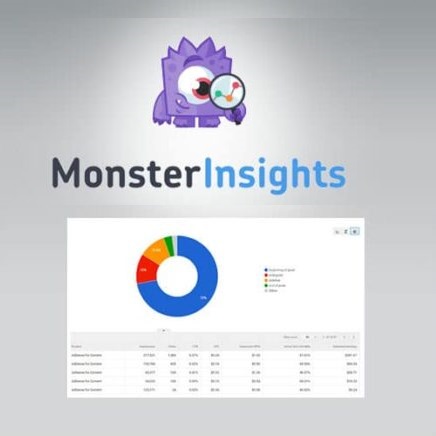 افزودنی گوگل آنالتیک | افزونه MonsterInsights – Ads Addon
