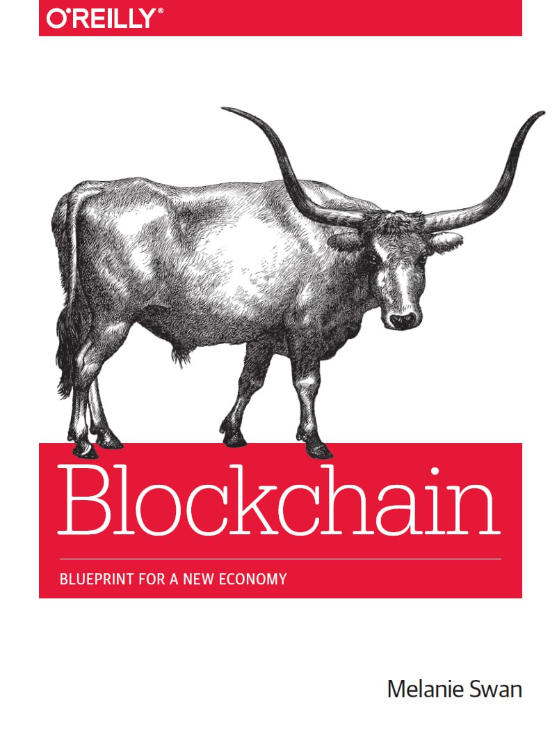 دانلود کتابBlockchain Blueprint for a New Economy (Melanie Swan)