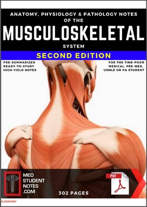 دانلود کتاب MedStudentNotes - Musculoskeletal System Notes