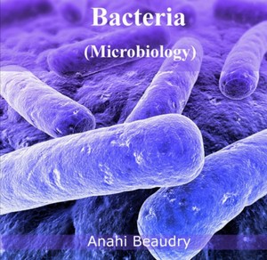 دانلود کتاب Chapter 2 Gram Negative Bacteria and Gram Positive Bacteria Gram